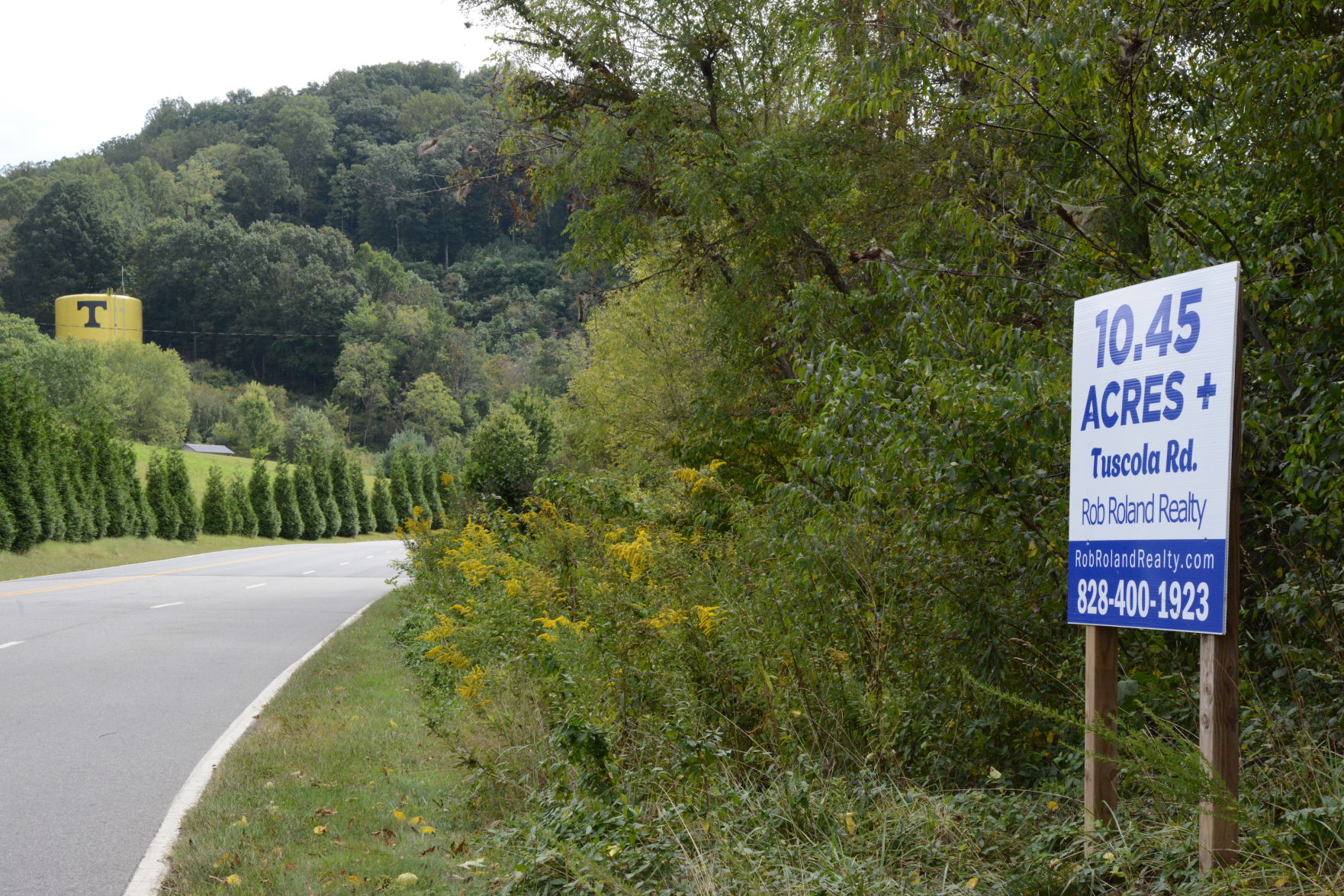 tuscola property 1.JPG